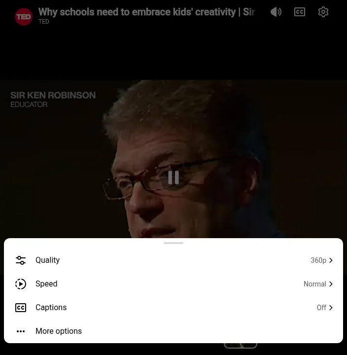 The settings menu: Quality, Speed, Captions